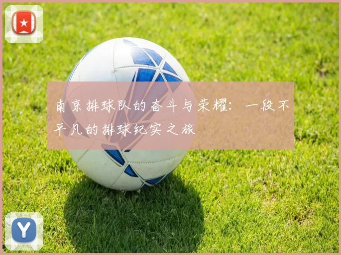 南京排球队的奋斗与荣耀：一段不平凡的排球纪实之旅