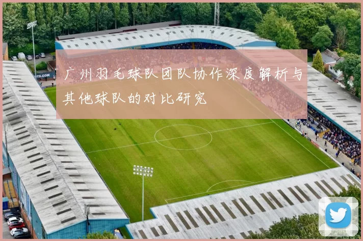 广州羽毛球队团队协作深度解析与其他球队的对比研究