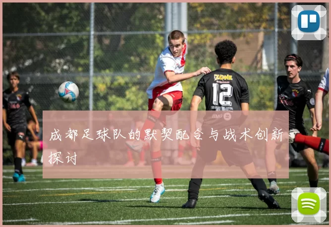 成都足球队的默契配合与战术创新探讨