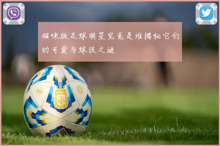 猫咪版足球明星究竟是谁揭秘它们的可爱与球技之谜