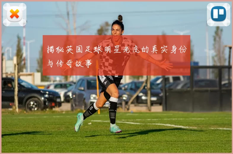 揭秘英国足球明星老虎的真实身份与传奇故事