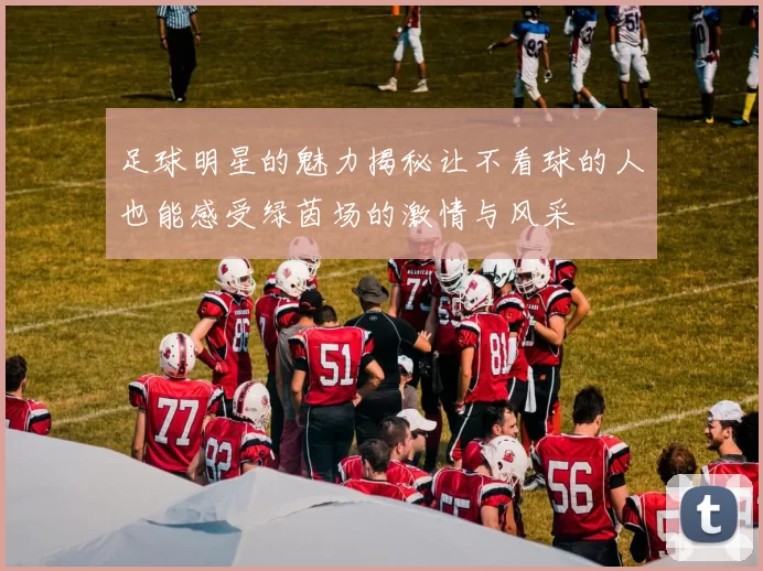 足球明星的魅力揭秘让不看球的人也能感受绿茵场的激情与风采